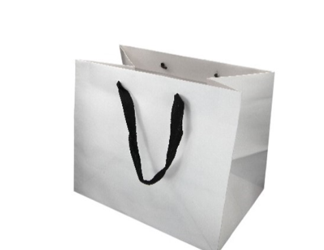 Shipping Gift Bag