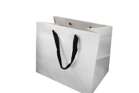 Shipping Gift Bag